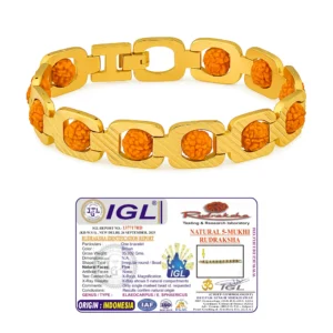 gold plated essential rudraksha bracelet with certification